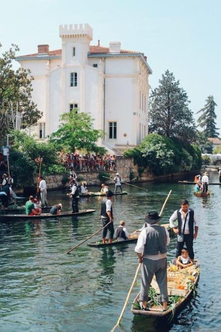 Chez Franck Et Gisele Apartamento LʼIsle-sur-la-Sorgue Exterior foto
